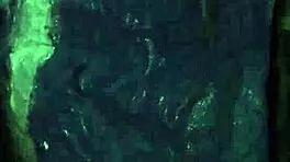 rough handjob compilation turns into outdoor public fuck with anya