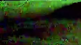 Asian MILF fucking her teen lover!