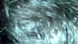 Another Of My Friends