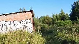 Young girl, is this monster cock what you're seeking in street casting?