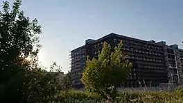 Young girl, is this monster cock what you're seeking in street casting?