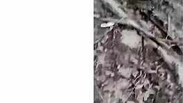 friend's unprotected woods fuck and facial, secret married men encounters in virgin forest