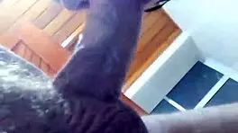 Japanese Teen Blowjob And Handjob During Church Visit Sucking Pastor Cock