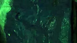 Teen undergoes hardcore bondage casting domination