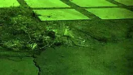 Horny teen explores homemade hobbies unless you're from the sixties