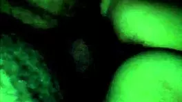 superwet im really turned on hottyporny pornyhotty