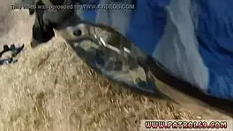 Fun Teen Hd And Pornstars Behind The Scenes With Stunning Mexican