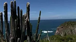 hdvwm071 1-100 video series