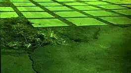 milf in tape bondage domination