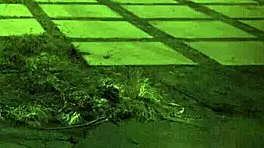 milf in tape bondage domination