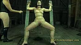 four girls trapped inside a petite cage