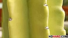 Maddy Oreilly and Lily Love teasing with big cocks 😈