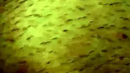 my girlfriend loves double penetration two in pussy