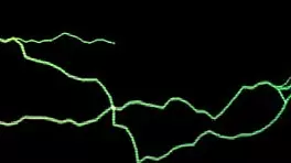 chiara 22 shows off in a horny interview