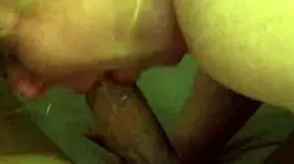 White Girl Sucking Cock