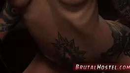 excited youthful tourists dominate felicity feline