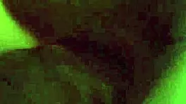 Close-Up Doggy Pussy Fucking! Cumshot and Orgasm Explosion!