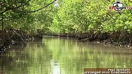 Geiler arsch british teen 18+ macht erstes porno casting