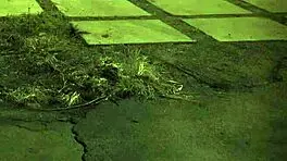 penny flame rough sex first time unless you're from the sixties