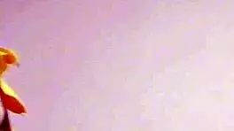 Mexican Schoolgirl Takes Broomstick In Ass Then Fucks Like Dogs Homemade Outdoor