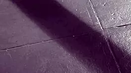 Hey Sasha Grey, wanna try BDSM with stockings and monster cock action tonight?