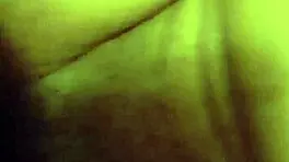 Little red's adventure in the woods