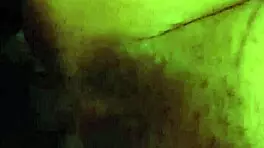 Little red's adventure in the woods