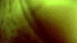 Little red's adventure in the woods