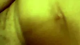 Little red's adventure in the woods