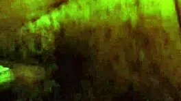 Little red's adventure in the woods