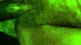 Little red's adventure in the woods