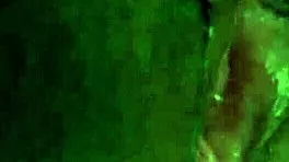 Hot Wet Latina Creamy Pussy Play!