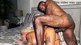 Jason Luv, sparkling tung, kitana Montana, tight kit