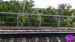We wanted to make love on the train but were almost caught