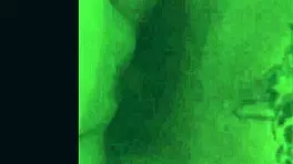 The hottest cumshot compilation on the web!