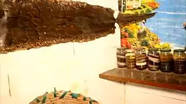 Wow, two tourists fucking publicly in a park in Africa! POV creampie action 😍