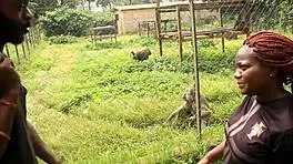 Wow, two tourists fucking publicly in a park in Africa! POV creampie action 😍