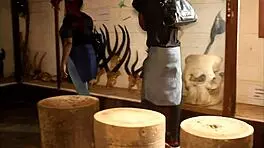 Wow, two tourists fucking publicly in a park in Africa! POV creampie action 😍