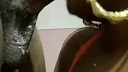 Sloppy Blow Job From Fat Bbw Black Ebony Young Milf!