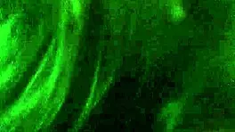 watch this skinny slut's intense blowjob skills