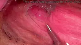 amateur pink pussy 172 days after losing her virginity