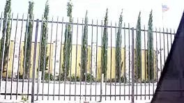 Mary Jean just watches him splash jizz over her shaved backside