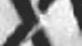 Lancelot Destroys Keysie Wood's Ass with Monster Cock Gaping