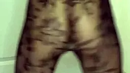 dallas escort petite 18+ bossbitch tryst p411 sheinhaul