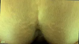 Amatuer Black Couple Fuck Doggystyle