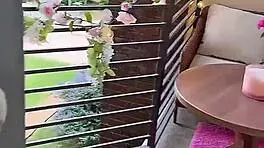 Petite escort bossbitch updates on her dallas move tryst p411.