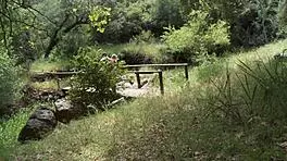 Madelyn marie and natasha marley, ready for outdoor threesome?