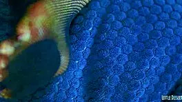 Todays Most Perfect Pink Pussy