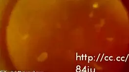 amature couple fucking starring megan