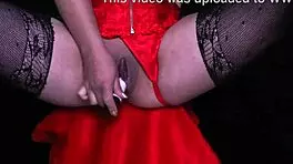 Masturbacion solitaria - close-up de vagina humeda